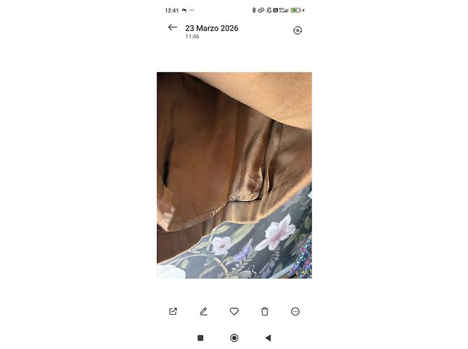 Dolce & Gabbana Kleid aus Kamelwolle und Kaschmir - Ansicht 5