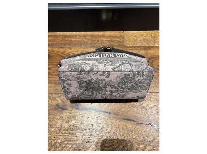Borsa Pouch Toile de Jouy Christian Dior Rosa Grigio - vista 10