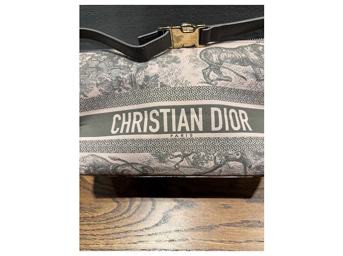 Borsa Pouch Toile de Jouy Christian Dior Rosa Grigio - vista 12