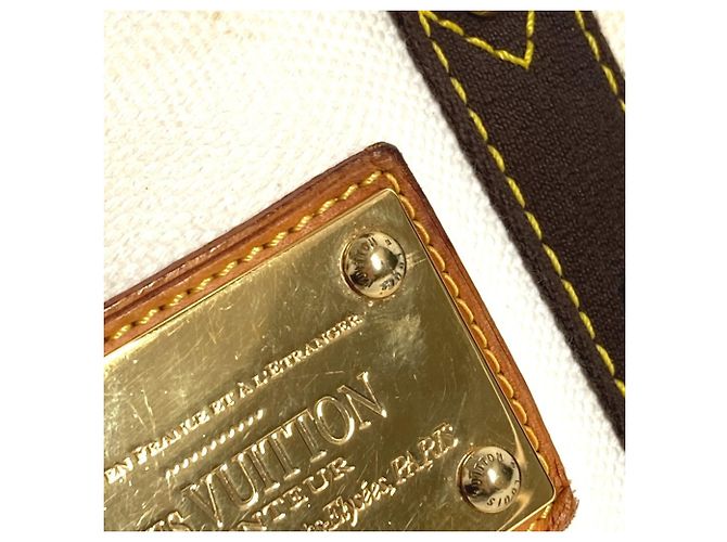 Borsa Tote Louis Vuitton Antigua Cabas PM Marrone Bianco - vista 15