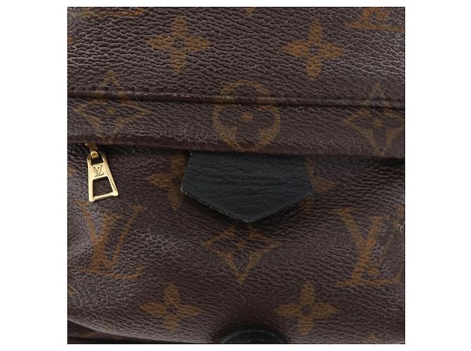 LOUIS VUITTON Monogram Palm Springs MINI Rucksack M44873 LV Auth 171013 Monogramm - Ansicht 20