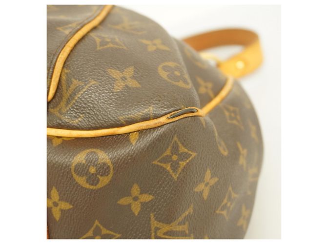 Borsa a Spalla Galliera PM Monogramma Louis Vuitton Marrone - vista 7