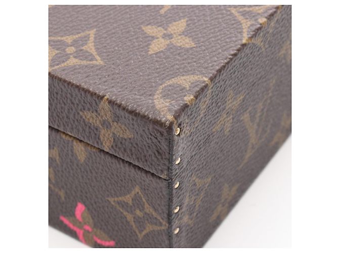 Borsa Louis Vuitton Falling in Love Marrone Multicolore - vista 6