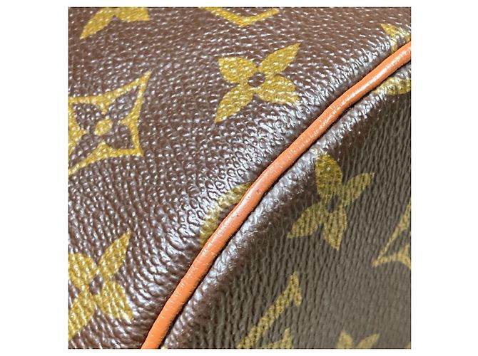 Borsa a mano Boston Roll Monogram Papillon 30 GM Louis Vuitton Marrone Monogramma - vista 5