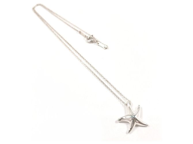 Collana Stella Marina Tiffany & Co. di Elsa Peretti Argento - vista 3