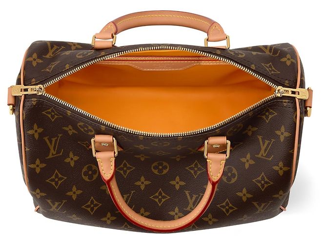 Louis Vuitton Speedy Soft 30 Handtasche Braun Stoff - Ansicht 2