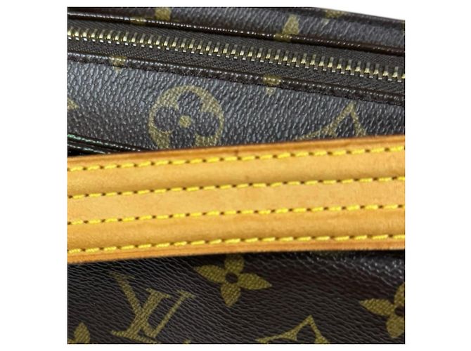 Borsa a Spalla Monogram Vivacite MM di Louis Vuitton Marrone - vista 16