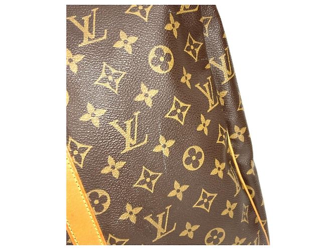 Borsa a Spalla Flanerie 45 Monogramma Louis Vuitton Marrone - vista 11