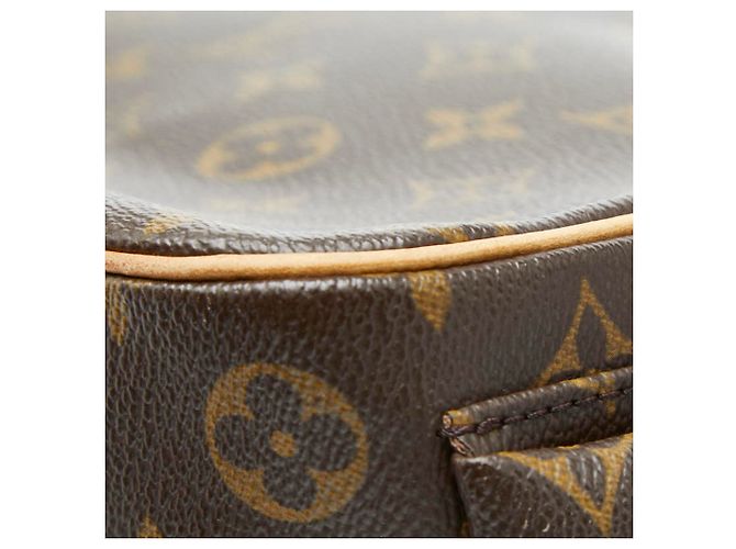 Borsa Monogram Excentri Cité di Louis Vuitton Marrone - vista 7