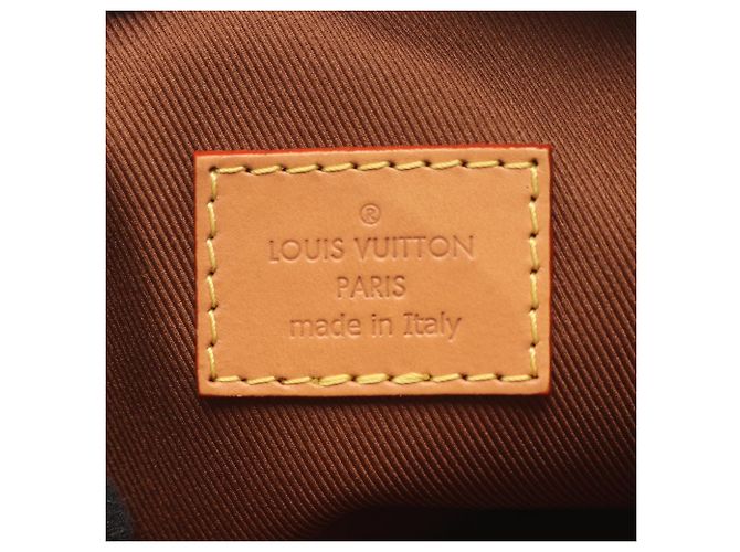 Borsa Louis Vuitton Panam Set Marrone Multicolore Monogramma - vista 4