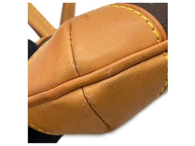 Borsa a Spalla Mini Coussin Monogram Louis Vuitton Marrone - vista 11