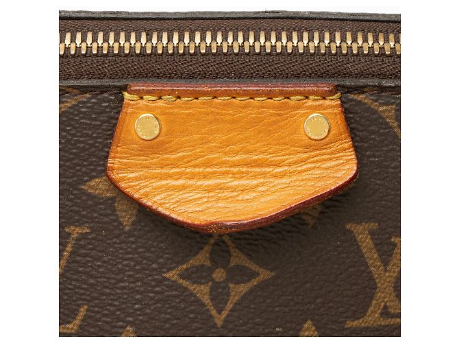 Borsa a mano Turenne MM in tela Monogram Louis Vuitton Marrone - vista 9