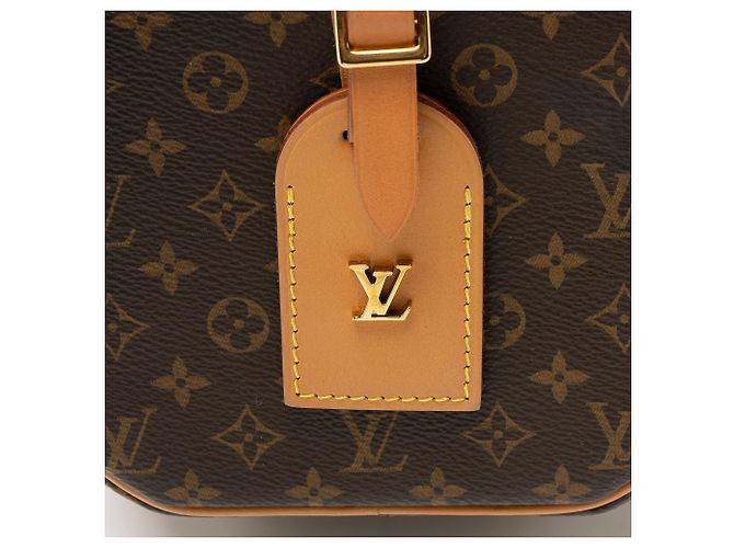 Borsa a Spalla Petite Boite Chapeau in Tela Monogram Louis Vuitton Marrone - vista 9
