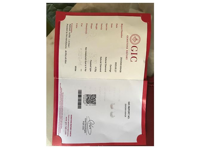 Autre Marque Diamant Ohrringe 1 Karat 18 Karat Weißgold - Ansicht 7