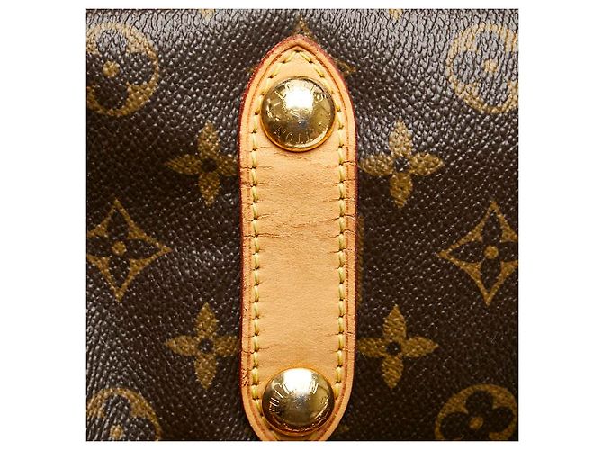 Borsa a Spalla Galliera PM Monogram Louis Vuitton Marrone Bronzo - vista 10