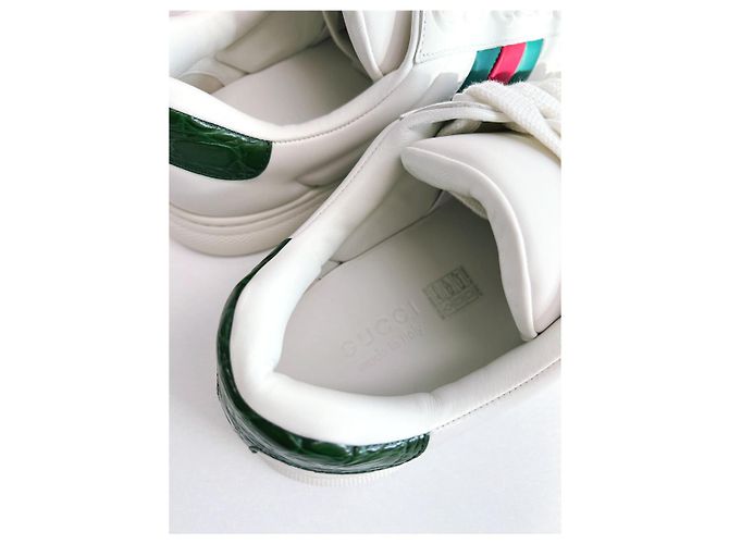 Gucci Sneakers in pelle Ace Web Bianco - vista 13
