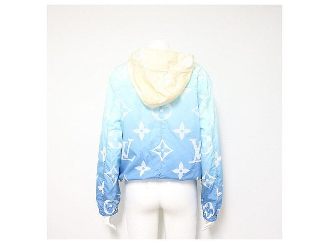 Louis Vuitton Kurze Kapuzenparka mit Blue Lagoon Monogramm Saison Blau - Ansicht 4