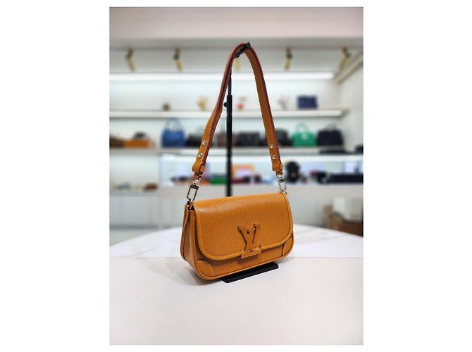Louis Vuitton Borsa a Spalla e Crossbody Epi Marrone - vista 13