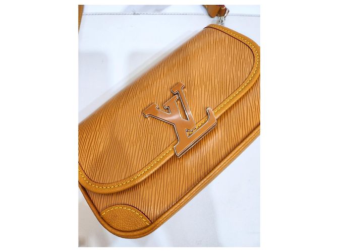 Louis Vuitton Borsa a Spalla e Crossbody Epi Marrone - vista 18