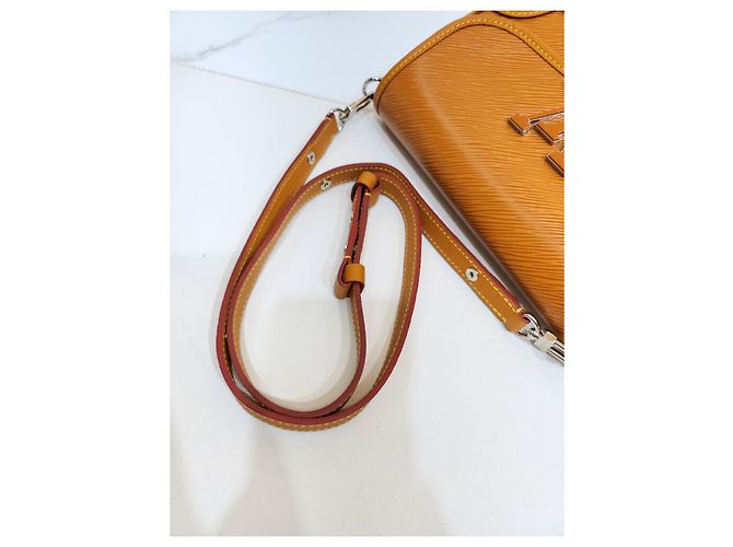 Louis Vuitton Borsa a Spalla e Crossbody Epi Marrone - vista 21