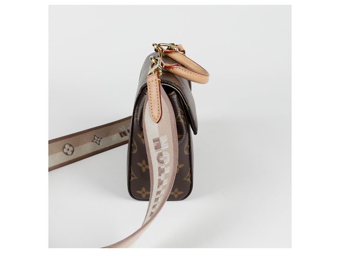Louis Vuitton Borsa a spalla mini Cluny Marrone - vista 4