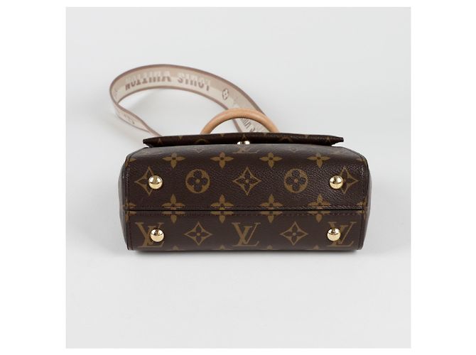 Louis Vuitton Borsa a spalla mini Cluny Marrone - vista 6