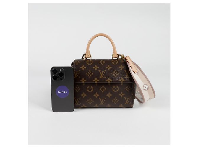 Louis Vuitton Borsa a spalla mini Cluny Marrone - vista 8