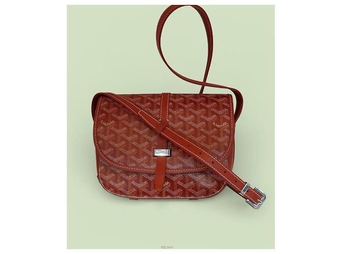 Goyard Borsa a tracolla Belvedere PM Rosso - vista 2