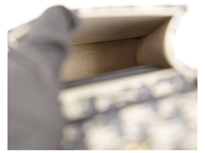 Saddle Dior Sattelvertikale Tasche und Umhängetasche - Ansicht 11