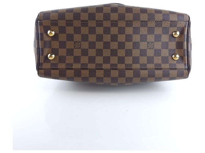 Louis Vuitton Borsa a spalla Damier Trevi Multicolore - vista 5