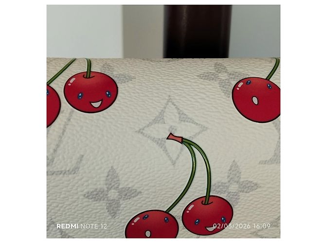 Louis Vuitton Ivy Multicolore - vista 9