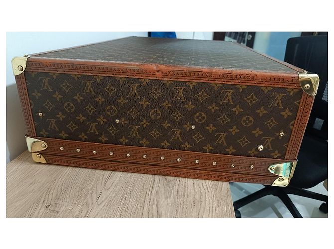 Montsouris Louis Vuitton Alzer 80 Leder Braun - Ansicht 6