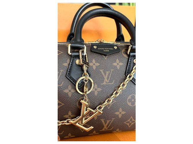 Louis Vuitton Speedy Trunk 20 Monogramma Marrone Nero D'oro - vista 2