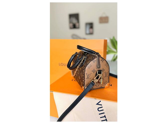 Louis Vuitton Speedy Trunk 20 Monogramma Marrone Nero D'oro - vista 5