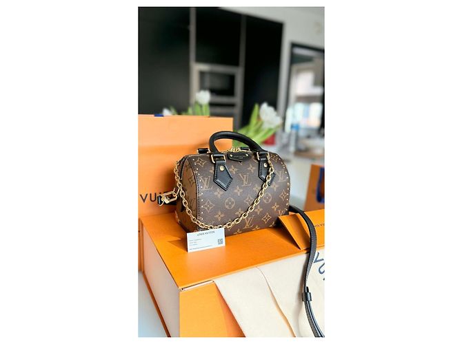 Louis Vuitton Speedy Trunk 20 Monogramma Marrone Nero D'oro - vista 6
