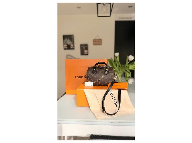 Louis Vuitton Speedy Trunk 20 Monogramma Marrone Nero D'oro - vista 9