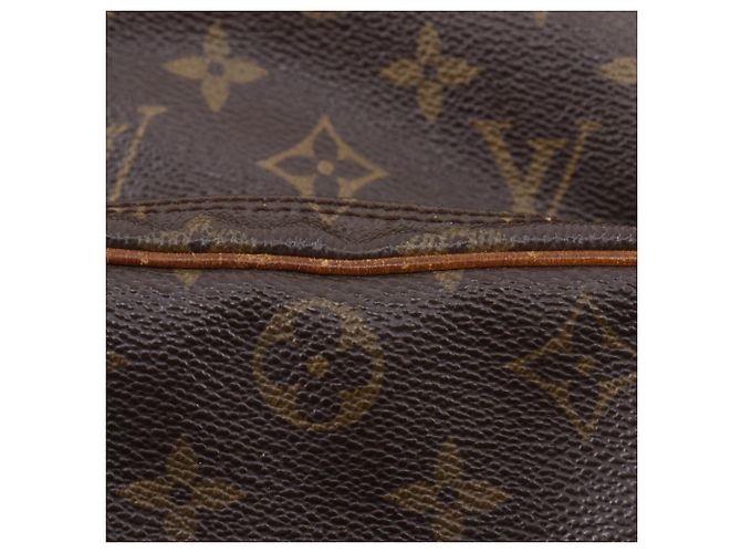 Borsa a Spalla Amazon Louis Vuitton Marrone - vista 13