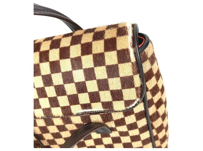 Louis Vuitton Damier Sauvage Lion Flap Tote Bag Brown - view 10