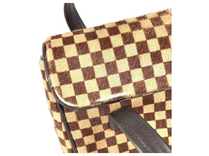 Louis Vuitton Damier Sauvage Lion Flap Tote Bag Brown - view 11