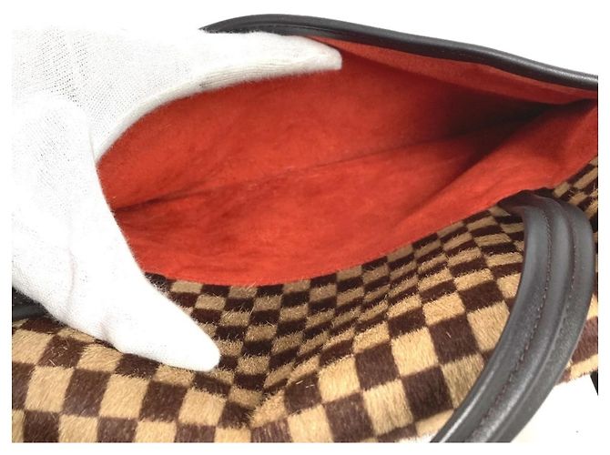 Louis Vuitton Damier Sauvage Lion Flap Tote Bag Brown - view 18