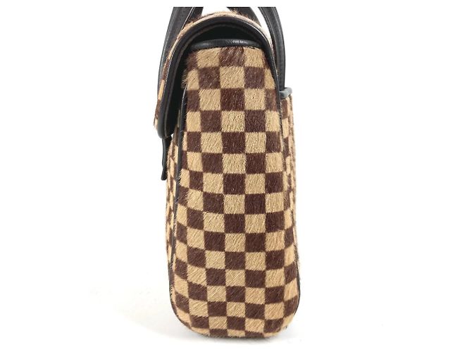Louis Vuitton Damier Sauvage Lion Flap Tote Bag Brown - view 3