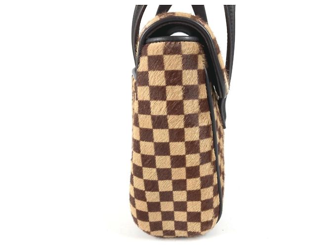 Louis Vuitton Damier Sauvage Lion Flap Tote Bag Brown - view 4