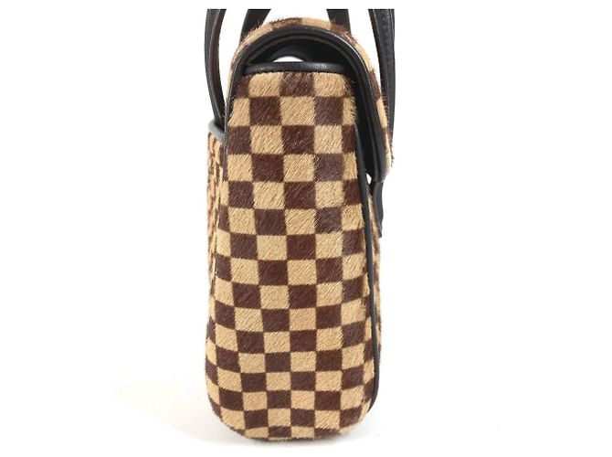 Louis Vuitton Damier Sauvage Lion Flap Tote Bag Brown - view 5