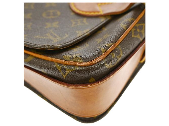 Borsa Cartouchiere Monogram Canvas MM Louis Vuitton Marrone - vista 7