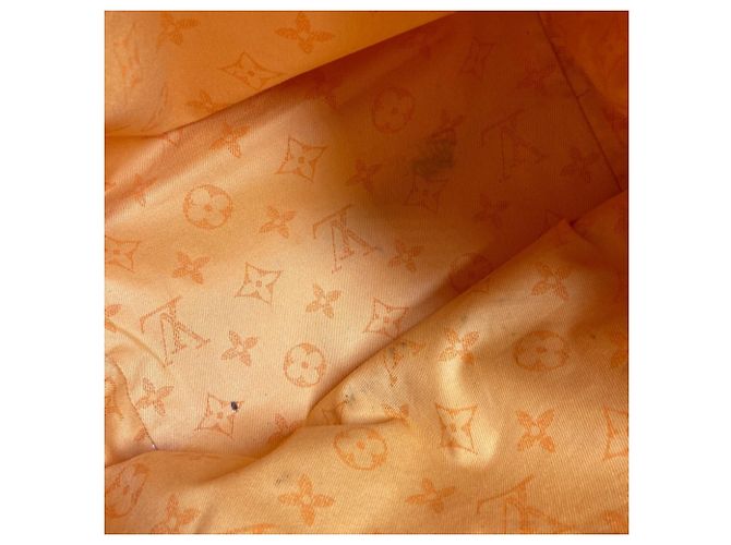 Borsa a Spalla Plan Soleil Cabas PM Louis Vuitton M94145 Giallo - vista 13