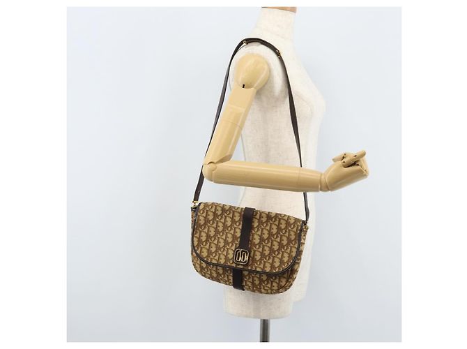 Borsa a Spalla in Tela Trotter Christian Dior Beige Oro Auth ARZ539 - vista 21