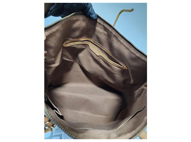 LOUIS VUITTON Borsa a Spalla Monogram Palermo GM Marrone/Beige - vista 14