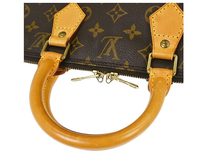 Borsa Alma Louis Vuitton in tela Monogram PM Marrone - vista 3