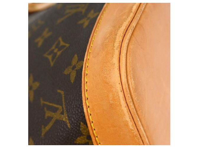 Borsa Alma Louis Vuitton in tela Monogram PM Marrone - vista 4