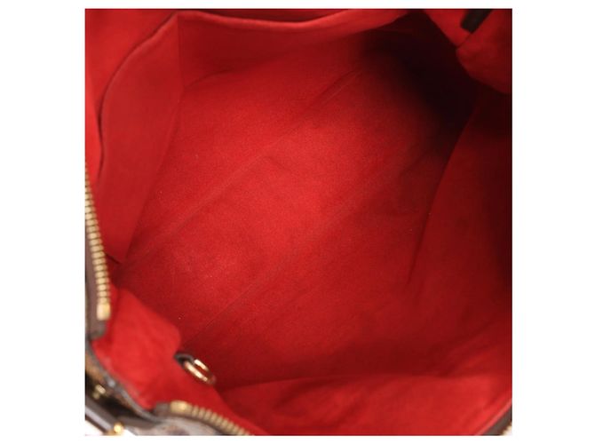 Borsa a Spalla Louis Vuitton Evora MM Damier Ebene 2Way in Marrone Rosso - vista 12